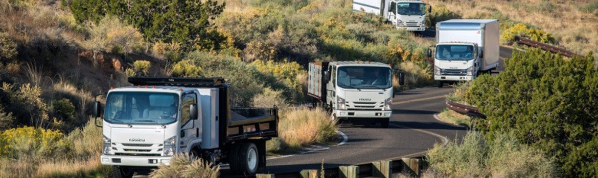 2018 Isuzu for sale in Colonial Truck, Richmond, Virginia